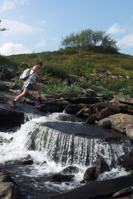 Vindelfjäll Nature Reserve: a Walk Through Reindeer Country - Frequently Asked Questions