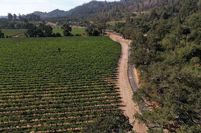 Vine Trail Discovery E-Bike Tour - Who Is This Tour Best For?