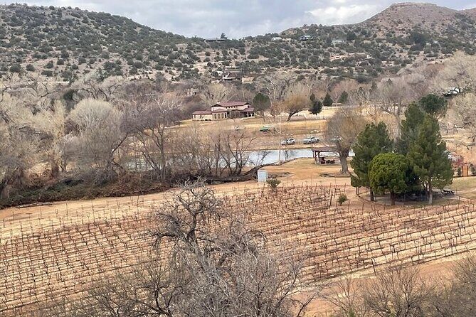 Vines and Views Sedona Elite Ride Experience - Analyzing the Value