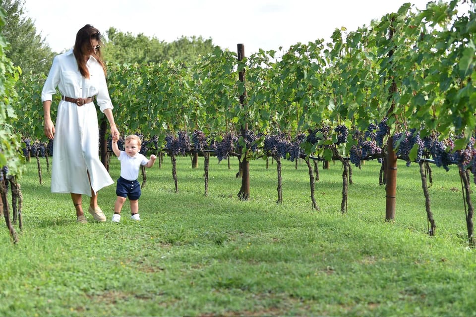Vineyard Escape, Walk, Lunch and Wine Tasting - Exploring the Experience in Detail