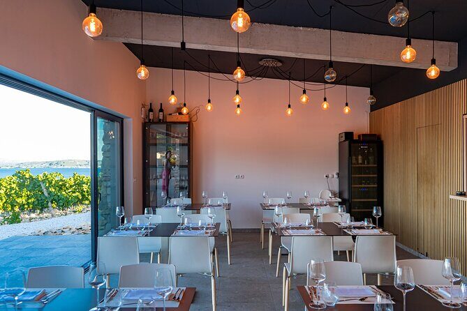 Vineyard Experience: Wine Tasting near Split - Final Thoughts: Who Will Love This Tour?