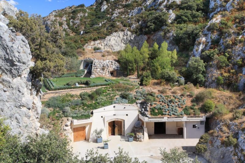 Vineyard of the Alpilles by Bike - Exploring the Alpilles by E-Bike