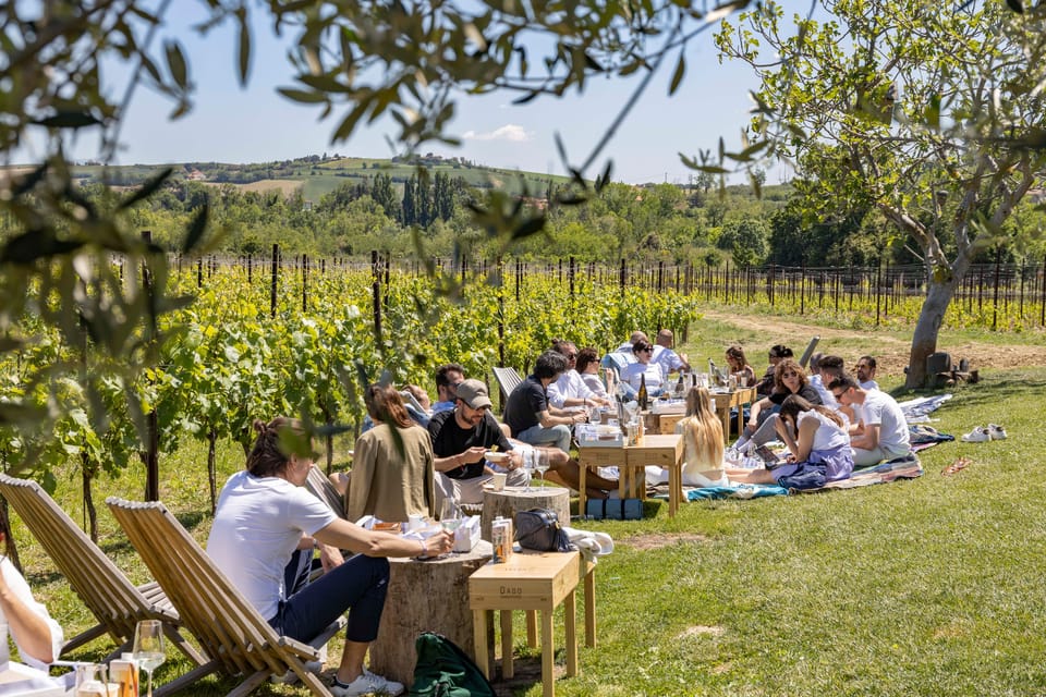 Vineyard Tour and Winery Visit With Tasting of Wines of Romagna - Key Points