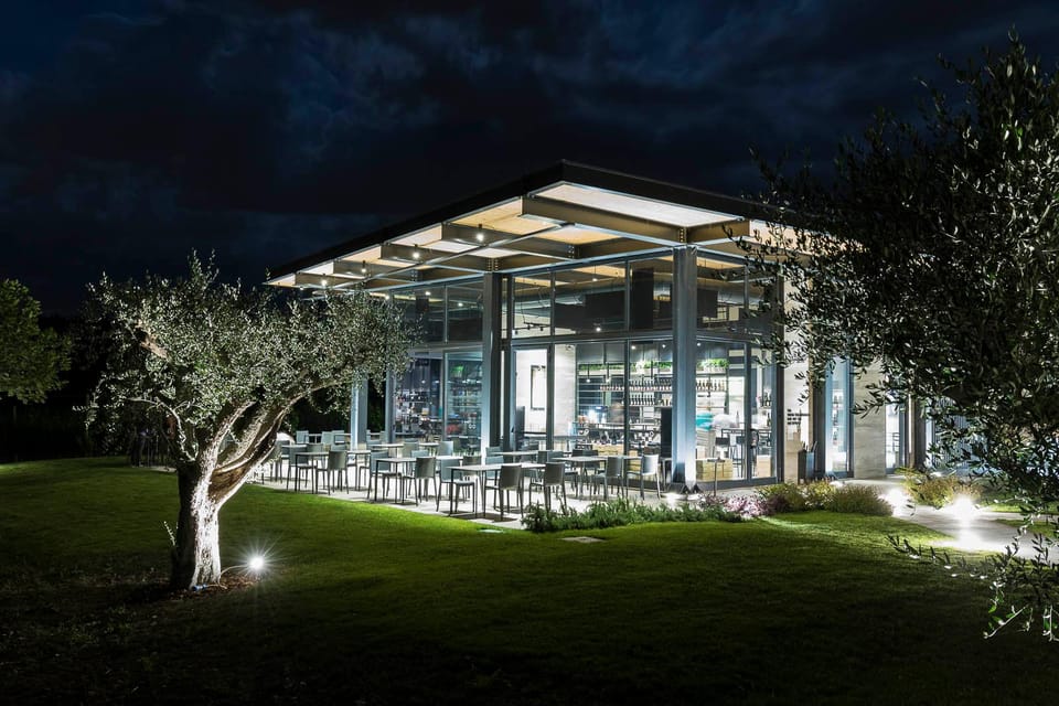 Vineyard Tour and Winery Visit With Tasting of Wines of Romagna - Winery Details