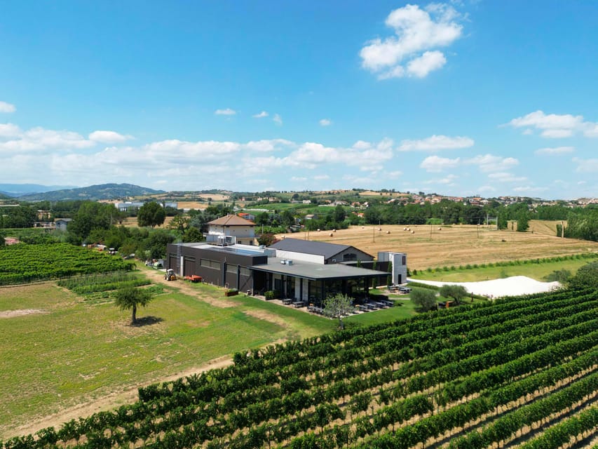Vineyard Tour and Winery Visit With Tasting of Wines of Romagna - Participant Restrictions