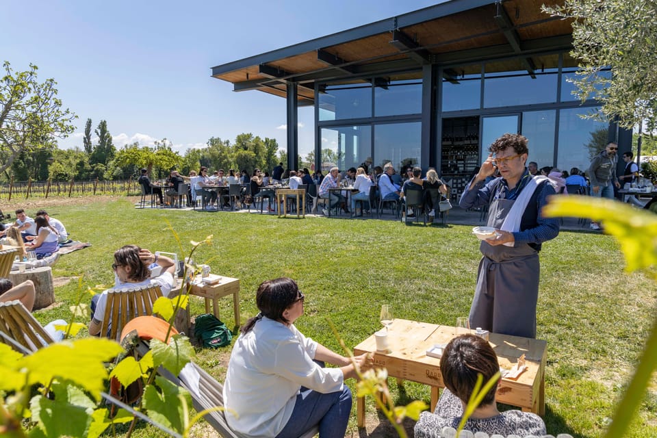 Vineyard Tour and Winery Visit With Tasting of Wines of Romagna - Tasting the Wines of Romagna