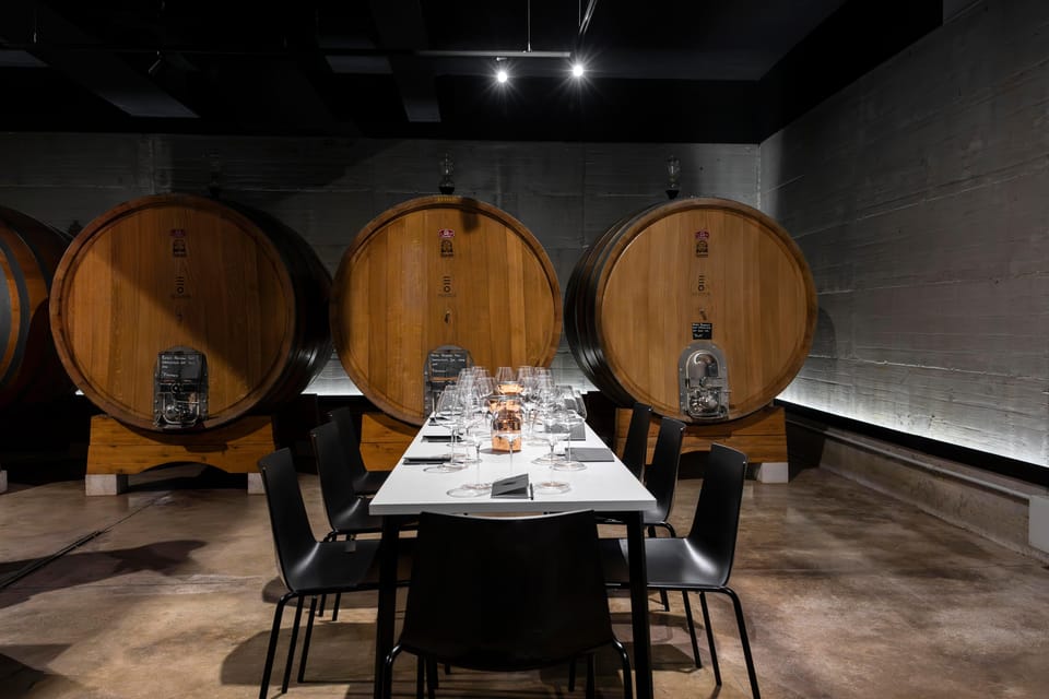 Vineyard Tour and Winery Visit With Tasting of Wines of Romagna - Ask Away