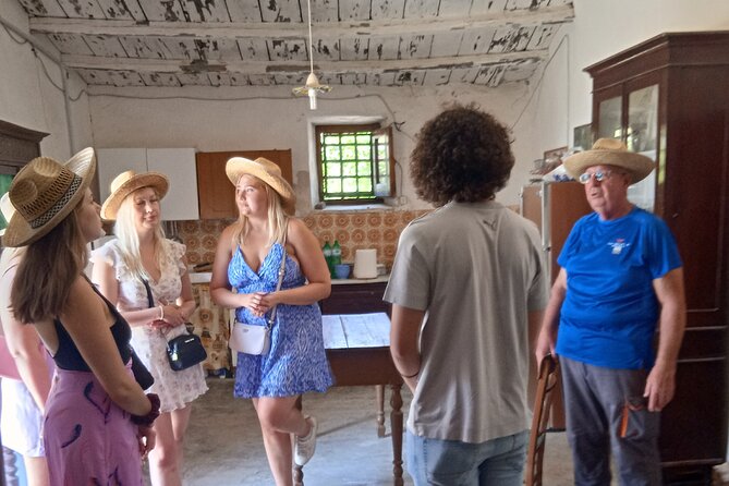 Vineyard Tour, Wine and Sicilian Delicacies Tasting at a Winery in Agrigento - The Sum Up