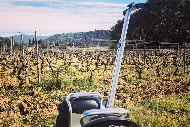 Vineyard Visit in Gyropode, Visit of Cave & Tasting Wines of Bandol - Tasting Details
