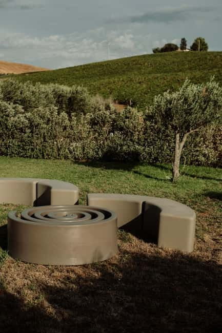 Vineyard Walk and Tasting - What You Can Expect from the Vineyard Walk and Tasting