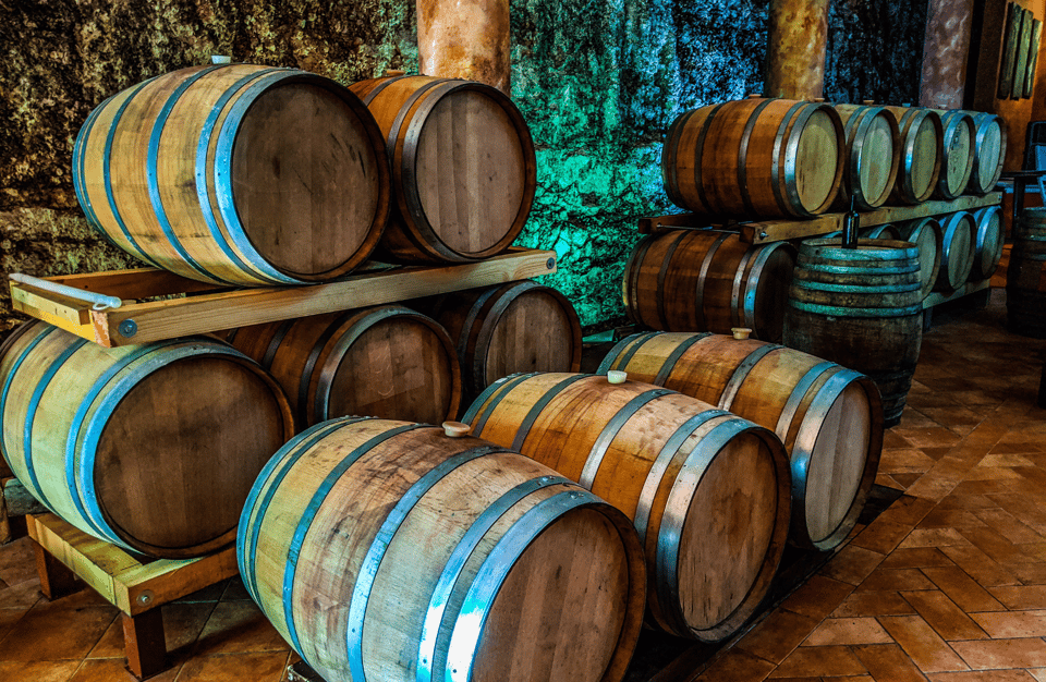 Vineyard Walk & Wine Tasting in the Berici Hills of Vicenza - Key Points