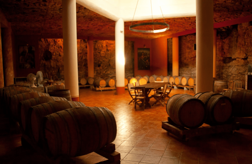 Vineyard Walk & Wine Tasting in the Berici Hills of Vicenza - Pairing the Wines With Local Delicacies