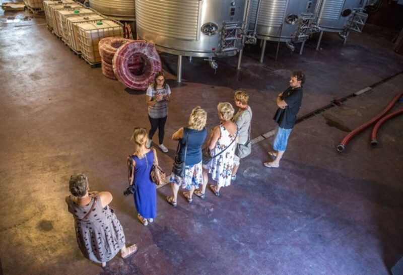 Vineyards of Alicante: Wine Tasting Tour - Itinerary and Activities