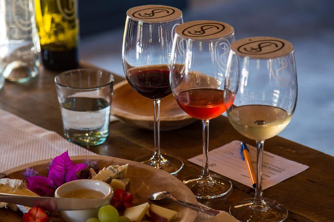 Vineyards, Wine Tasting and Pairing in San Miguel - Tour Details