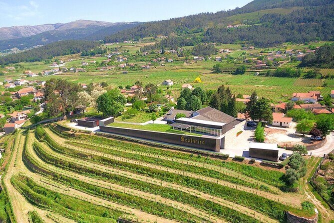 Vinho Verde Experience with 2 Wineries and Lunch - Introduction