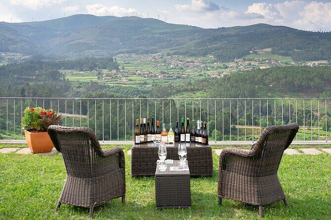 Vinho Verde Experience with 2 Wineries and Lunch - The Sum Up