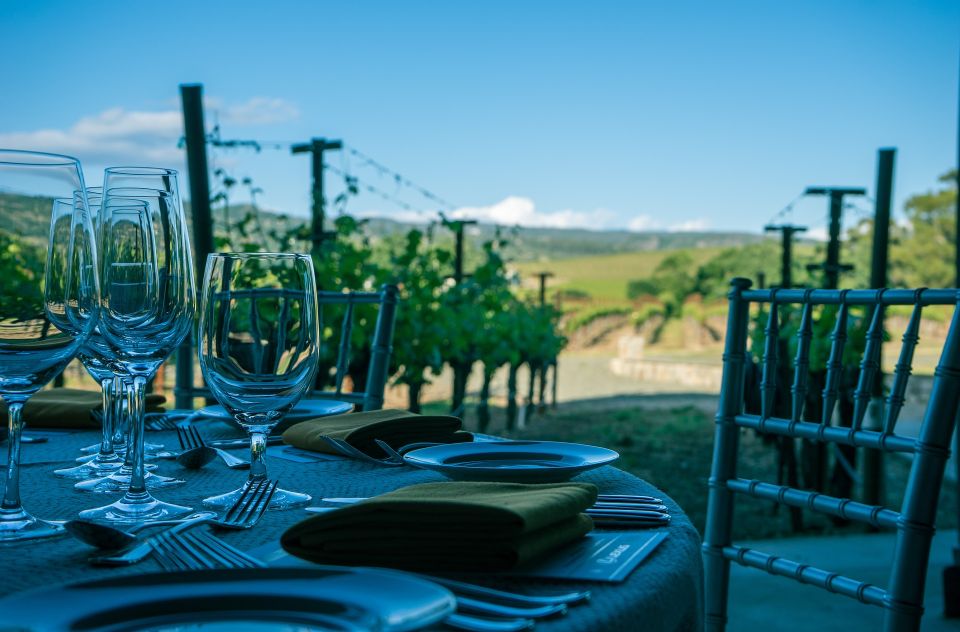 Vinho Verde Full-Day Premium Wine Tour - Tour Experience