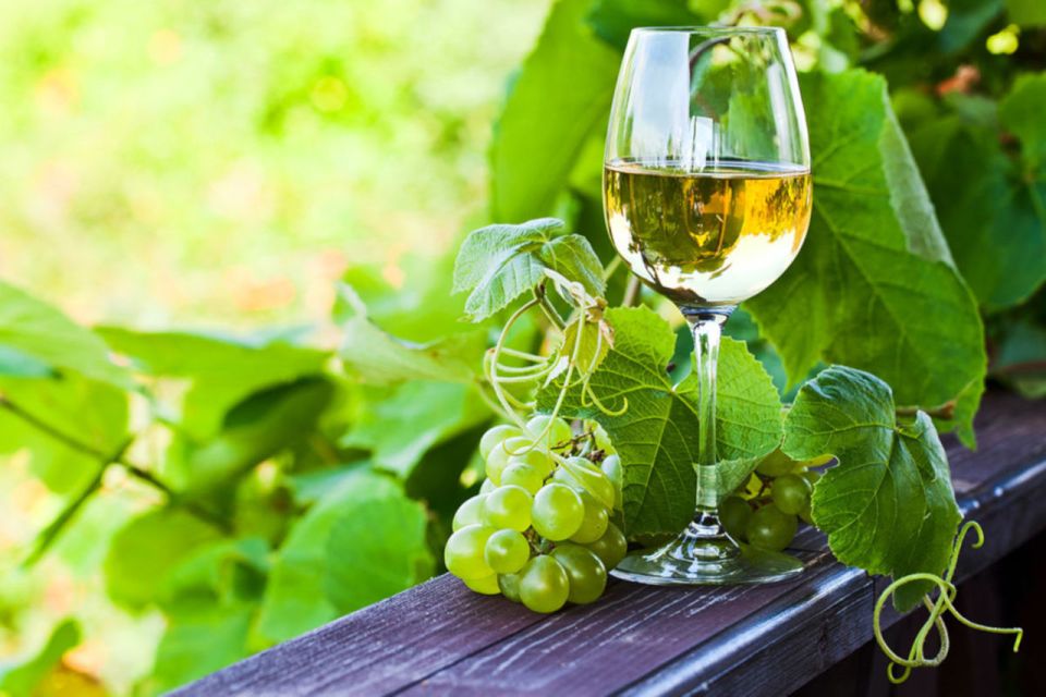 Vinho Verde Full-Day Premium Wine Tour - Customer Reviews