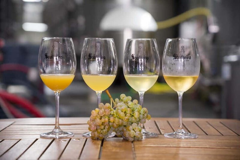 Vinho Verde: Private Wine Tasting w/ Tapas & Fortress Visit - A Complete Guide to the Vinho Verde Private Tour