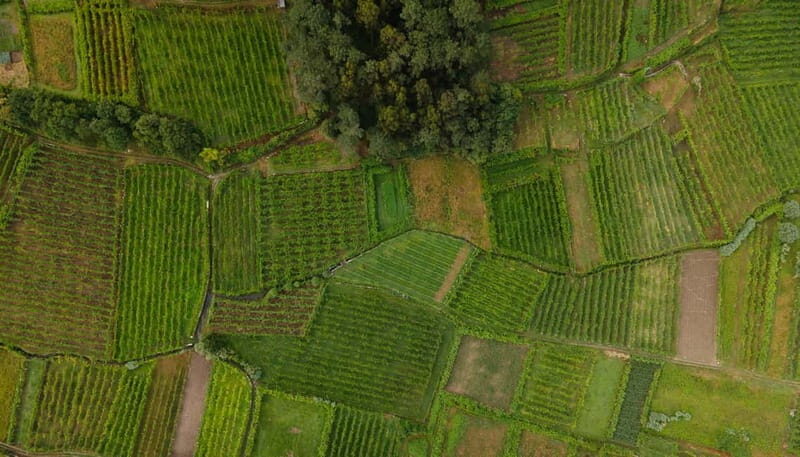 Vinho Verde: Private Wine Tasting w/ Tapas & Fortress Visit - What You Can Expect at Each Site