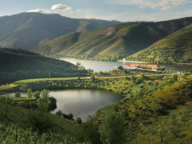 Vinho Verde: Visit 3 Wineries with wine tastings and Lunch - Vinho Verde: Visit 3 Wineries with wine tastings and Lunch – A Detailed Review