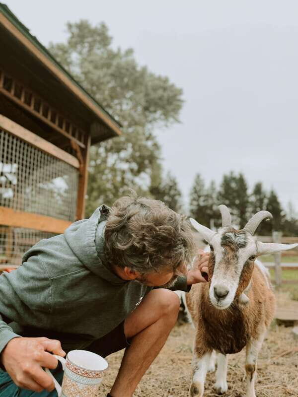 VIP Agritourism Tour of Île d'Orléans & Montmorency Fall - Key Points