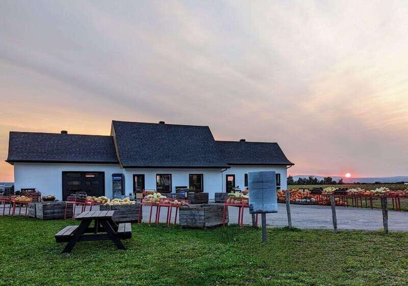 VIP Agritourism Tour of Île d'Orléans & Montmorency Fall - An In-Depth Look at the VIP Agritourism Experience in Quebec