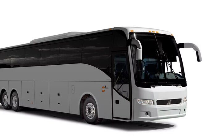 VIP and Luxury Transfert from Punta CanaAirport - Why Choose This Transfer Service?