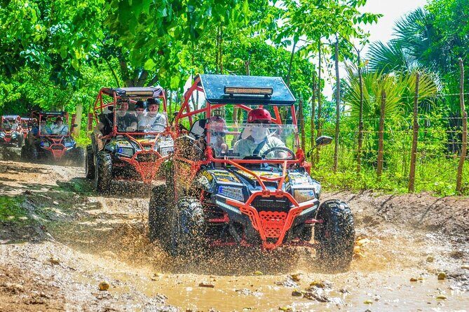 VIP Buggy Adventure Offroad to Macau Beach - Key Points