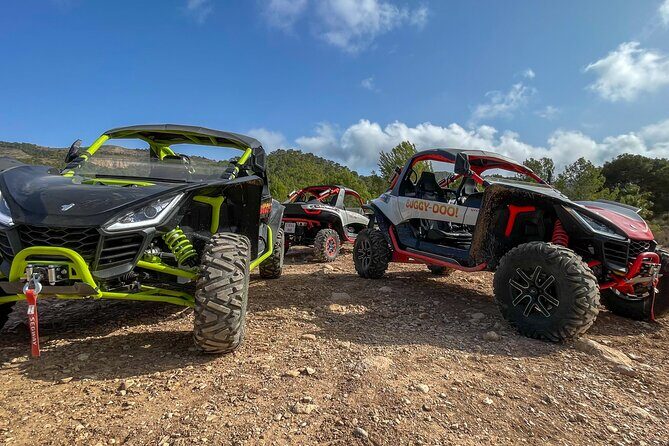 VIP Buggy Tour Off Road in Benidorm - Key Points