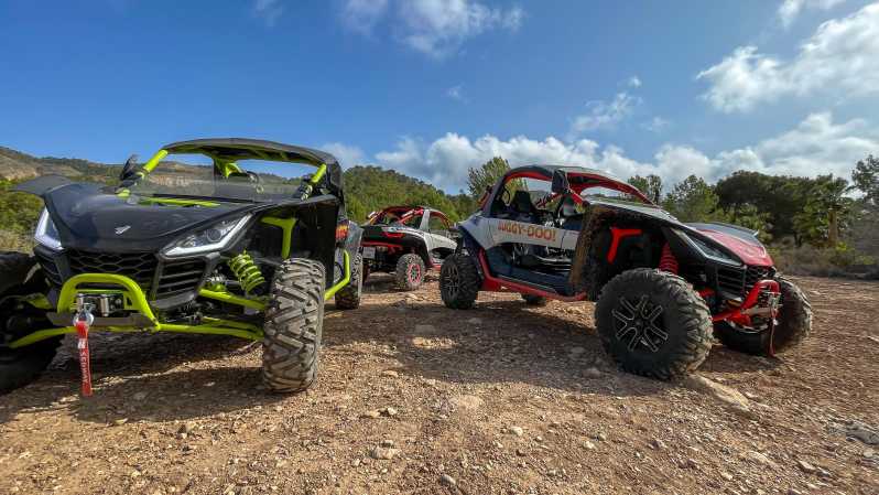 VIP Buggy Tour Off Road - Booking Information