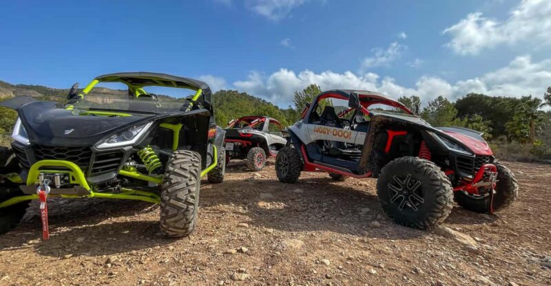 VIP Buggy Tour Off Road - Itinerary Highlights