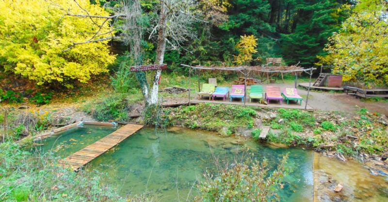 VIP Day Tour From Athens: Pavliani Forest Park TREK - Itinerary and Activities