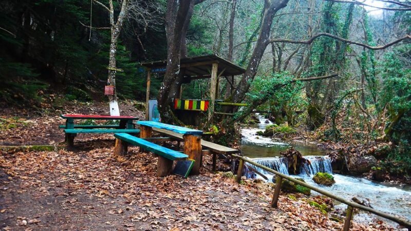 VIP Day Tour From Athens: Pavliani Forest Park TREK - Preparation and Recommendations