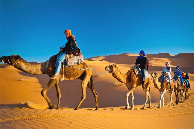VIP Desert Safari Dubai - Customer Reviews and Highlights