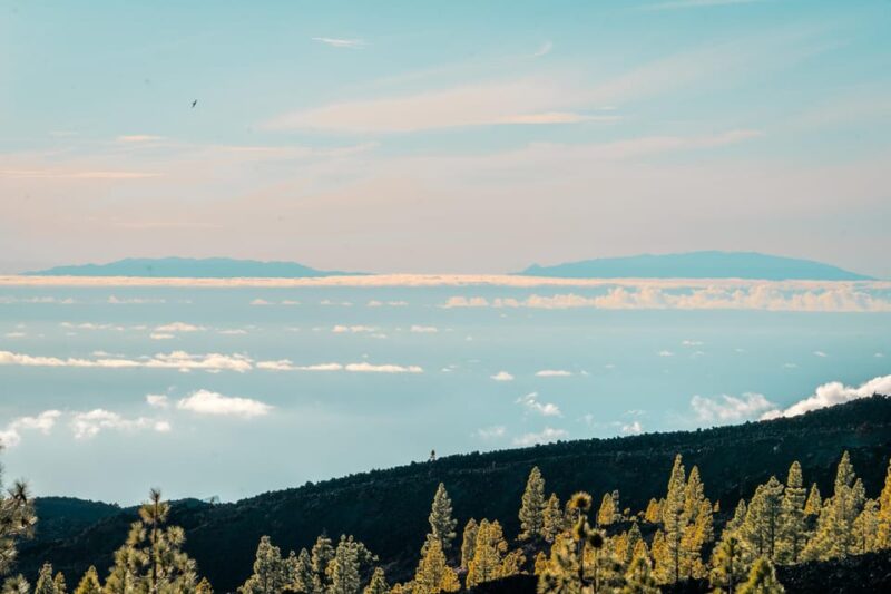 Vip Eco Tours Masca & Teide - Personalized Small Group Experience