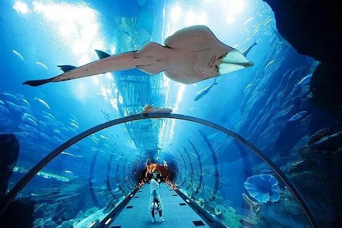 VIP Experience Dubai Aquarium & Underwater Zoo-As per Selection - Access and Inclusions Details