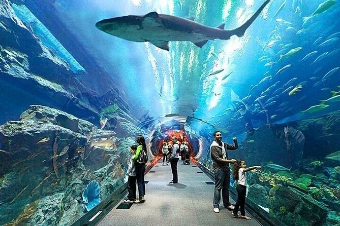 VIP Experience Dubai Aquarium & Underwater Zoo-As per Selection - Tips for a Memorable Visit