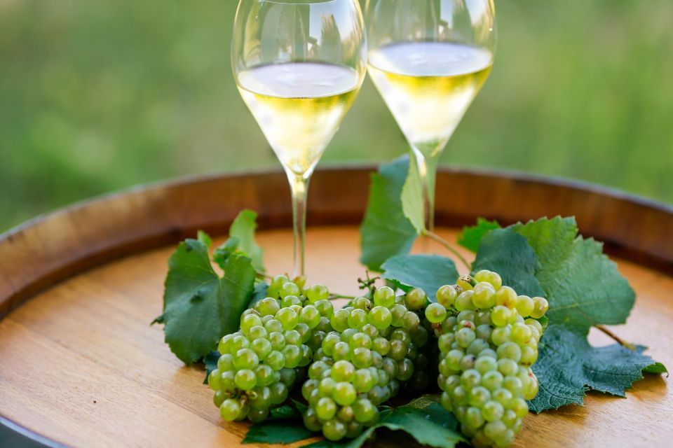 VIP Experience to Lake Iseo and Franciacorta Wine Tasting - Customization and Important Information