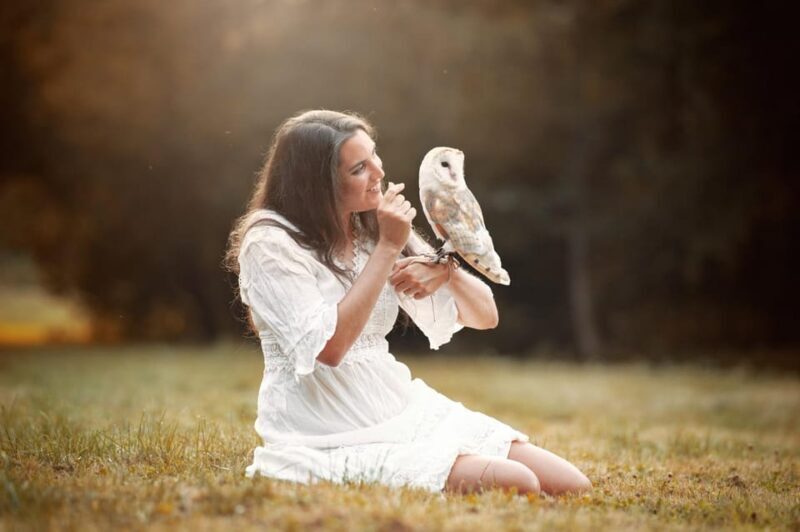 VIP falconry taster session - Introduction