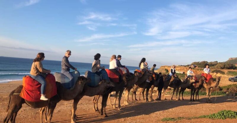 Vip Full Day Private Tangier Tour From Malaga All Inclusive - Pickup Locations