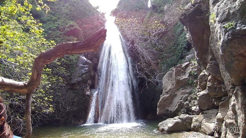 VIP Full-Day Private Tour (See the best with Professionals) - What to Expect from the Experience