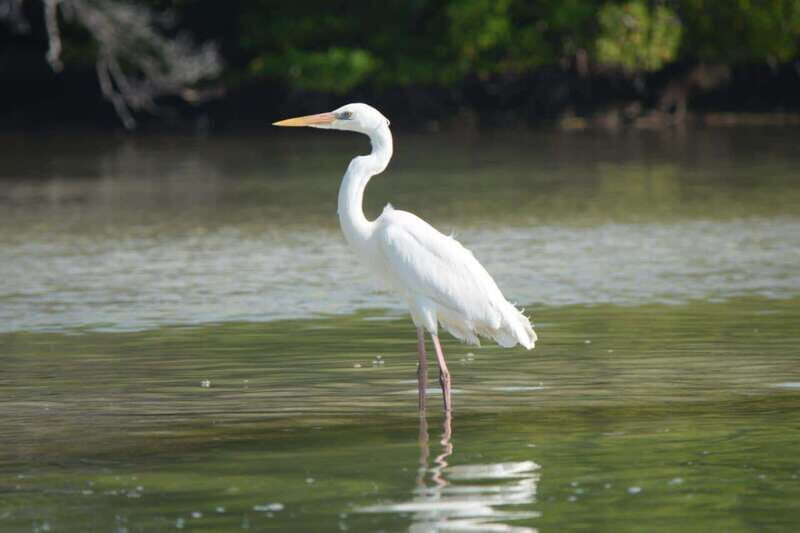 VIP Holbox Island Sunrise - 2 Points + Fruit + Coffee - Frequently Asked Questions