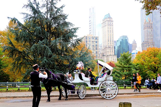 VIP Horse Carriage Ride Through Central Park (Up to 4 Adults) - Safety and Considerations