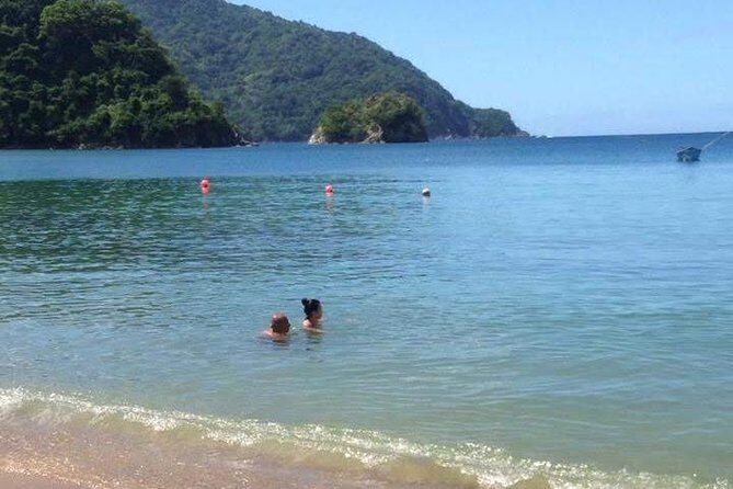 VIP Inclusive Private Tour of Island (Lunch, Drinks + Snorkeling) - A Close Look at the Itinerary