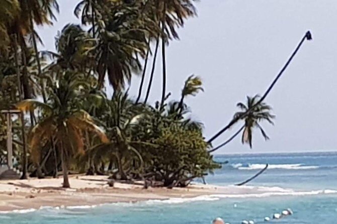 VIP Inclusive Private Tour of Island (Lunch, Drinks + Snorkeling) - Who Will Love This Tour?