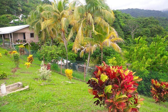 VIP Inclusive Private Tour of Island (Lunch, Drinks + Snorkeling) - Frequently Asked Questions