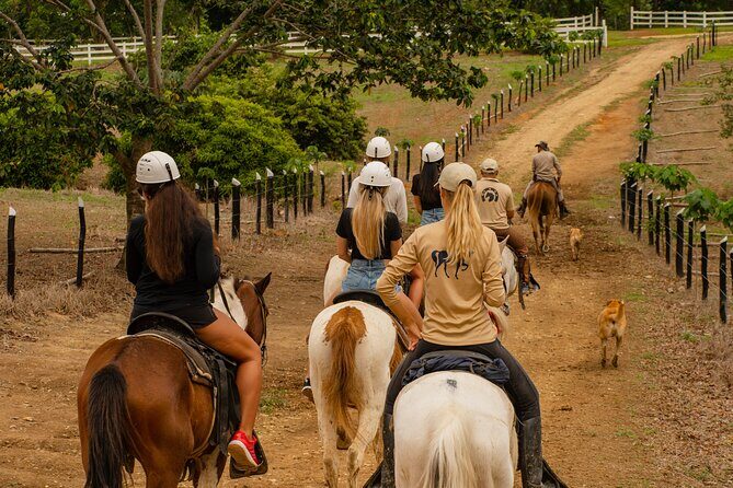 Vip La Hacienda Park Tour - Who is This Tour Best For?