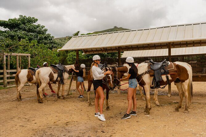 Vip La Hacienda Park Tour - Frequently Asked Questions