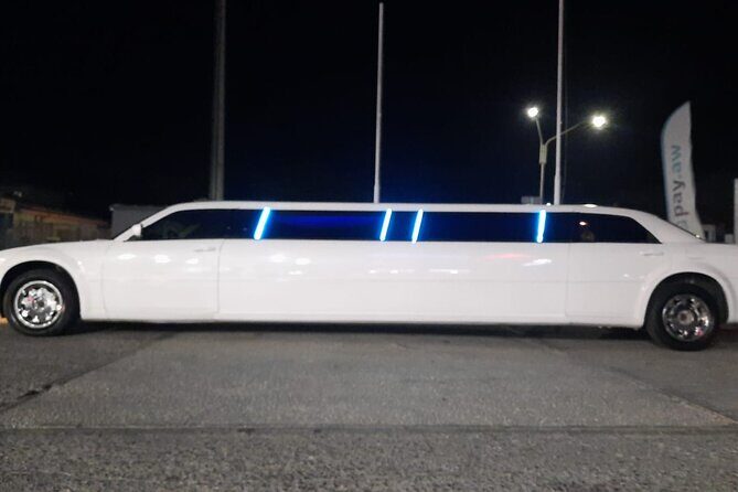 VIP luxury limousine airport transfer one way! - Practical Details & Logistics